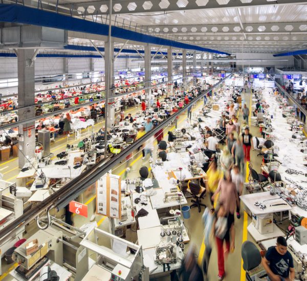 Production Lines