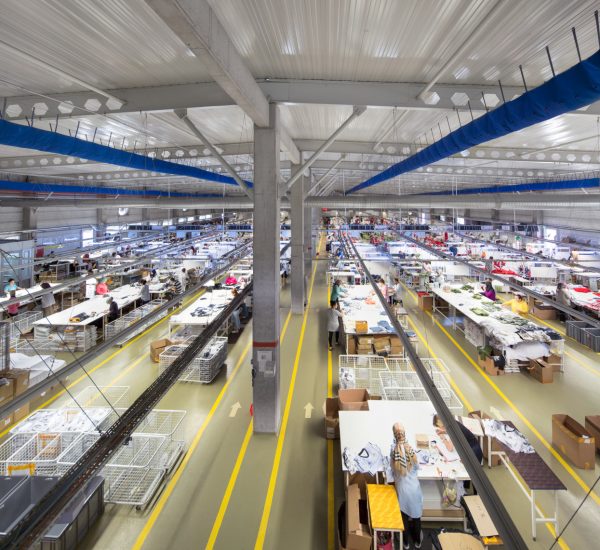 Packing Lines