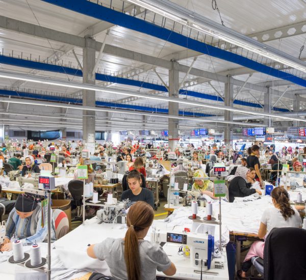 Production Lines