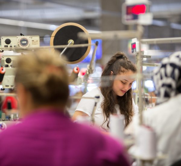 Production Lines