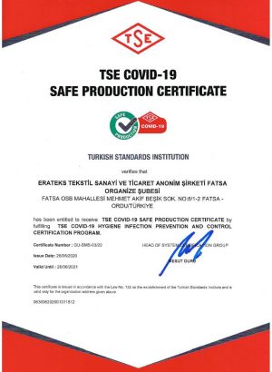 TSE Safe Production